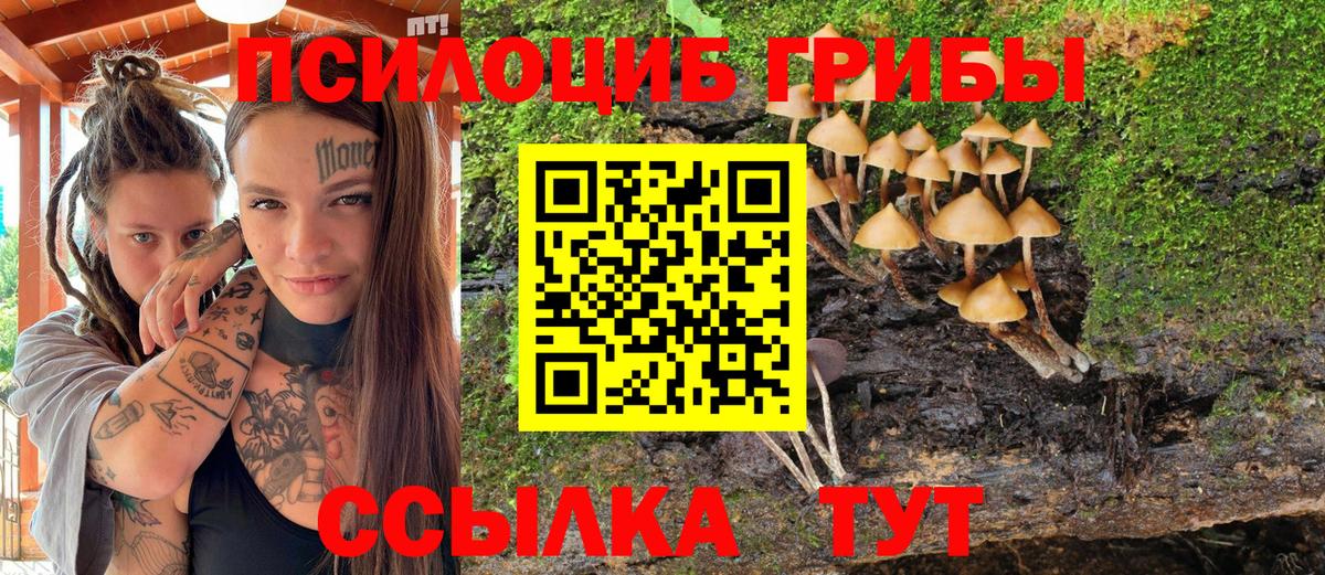 Галлюциногенные грибы MAGIC MUSHROOMS Старый Оскол