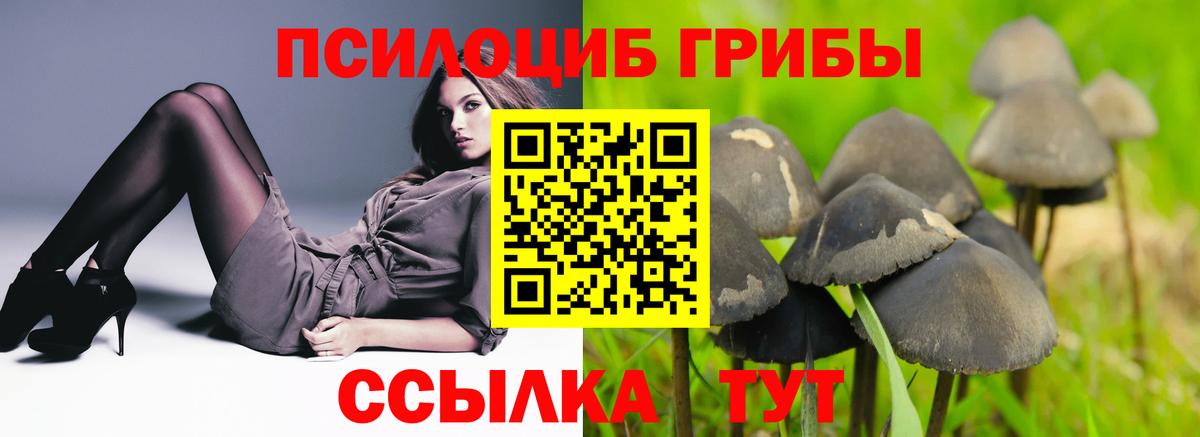 Псилоцибиновые грибы MAGIC MUSHROOMS  Галлюциногенные грибы Psilocybe  Старый Оскол  Вход с VPN 